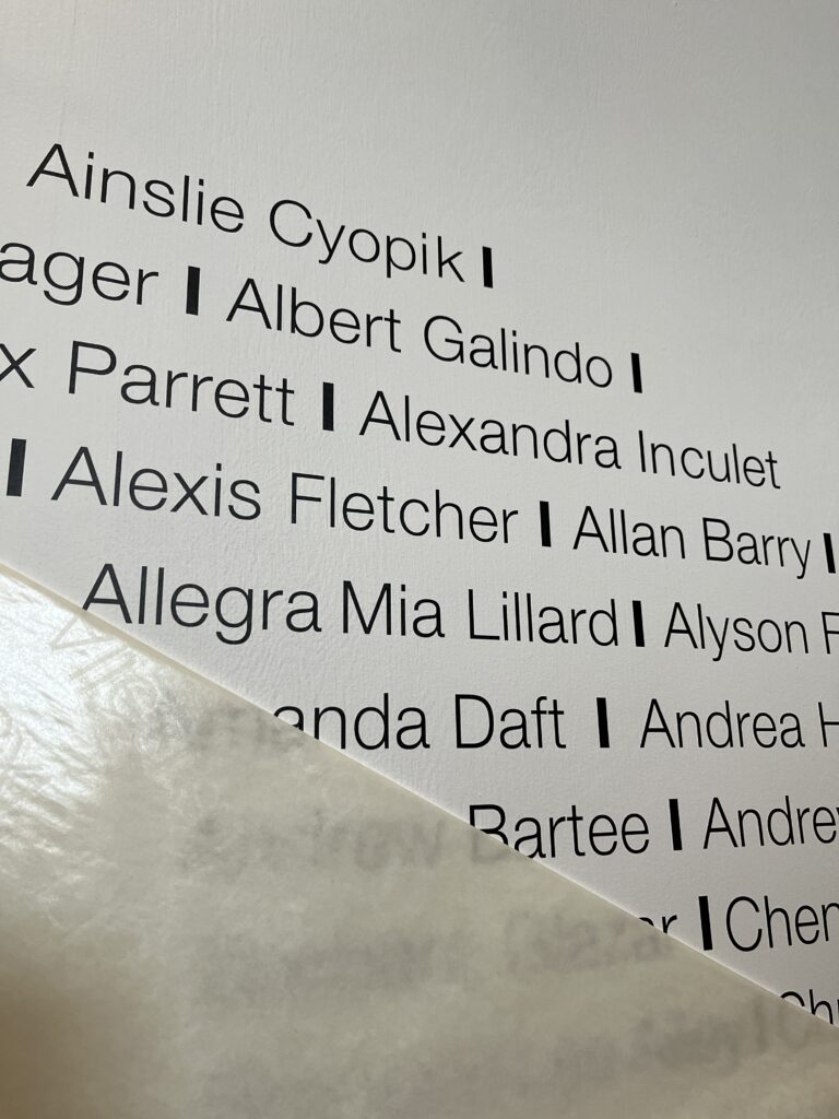 cut-vinyl-lettering-black-orcal